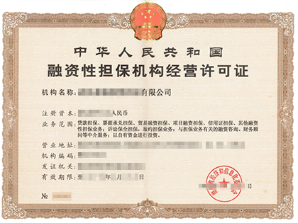 融资担保牌照并购